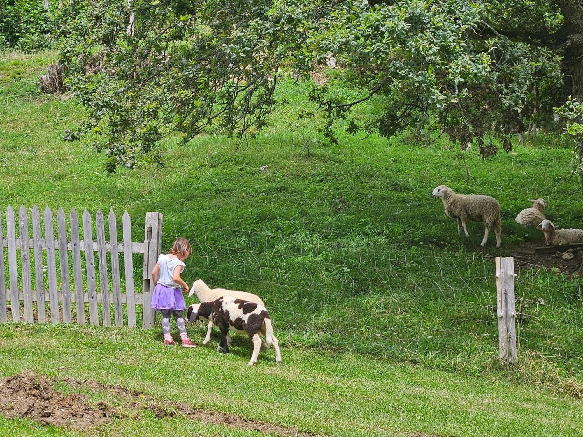 Tourist Farm Pr'Dovar Cerklje na Gorenjskem Exterior foto